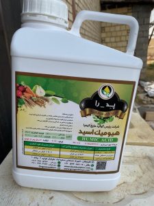 مهمترین آفات درخت گردو و راه های مقابله با آن